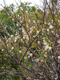 寒いねえ　　　　出舞