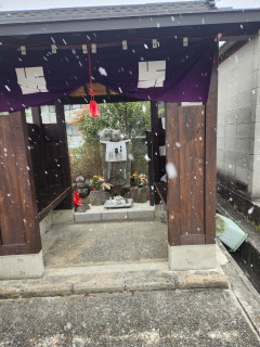 雪中バードウオッチング　出舞