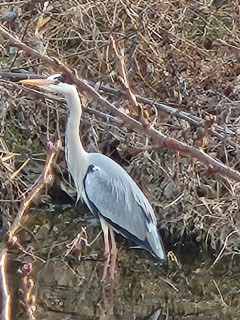 宜野座・練習試合　　　出舞