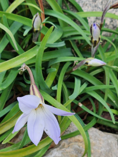 寒いですね　　　出舞