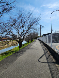 花と蝶　　　出舞