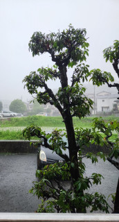 レベル3大雨警報　　　出舞
