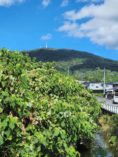 今日の生駒山　　　出舞