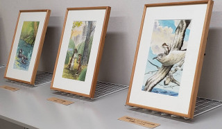 原画展に行ってきました🐦