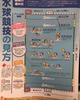 ルールを覚え、水球をより楽しもう！