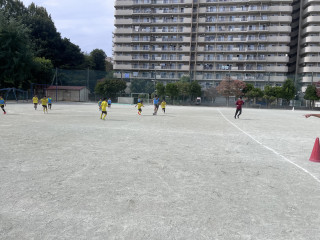 OBシンサク　現る！