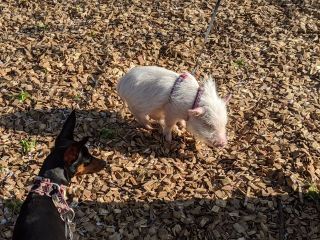 千歳船橋千歳船橋で開業２０年のマッサージ師 祐気堂マッサージ院長 御木です。