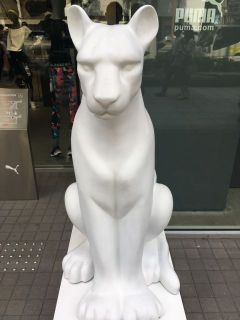  第25回全日本ユースU15フットサル選手権中予予選/20190518