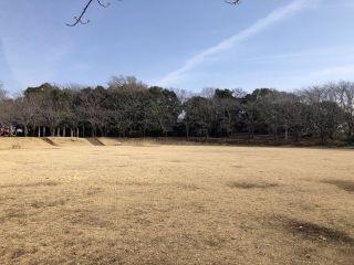 八千代養生氣功会　青空氣功教室