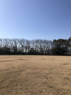 八千代養生氣功会 青空氣功教室