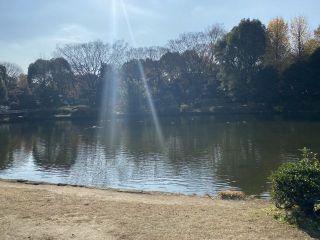 北の丸養生氣功会