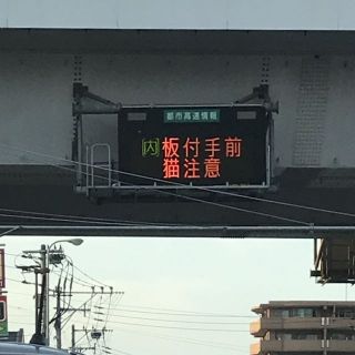 今日の福岡都市高速