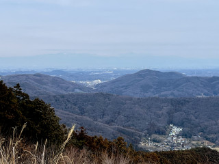 弓立山、上谷の大クス、越生梅林を楽しむ春を感じる山行