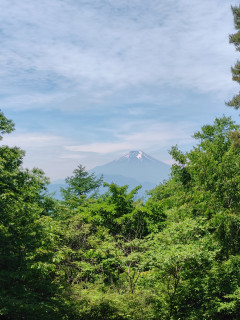 山梨・扇山〜百蔵山縦走