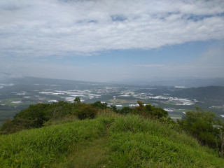 飯盛山のニッコウキスゲ