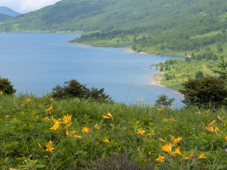白砂山登山 & 野反湖一周