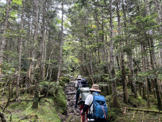 北八ヶ岳　縞枯山・茶臼山