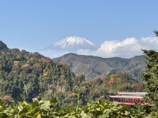 大野山（秋のそよ風に富士山堪能）