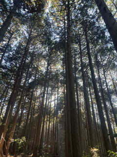 忘年山行　〜小仏城山で餅つき〜