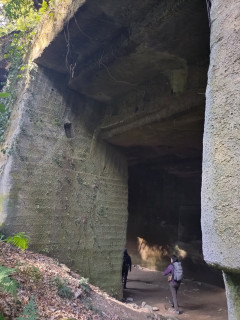 神武寺山〜鷹取山ハイクと逗子さんぽ