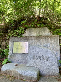 シロヤシオ終盤の高岩山