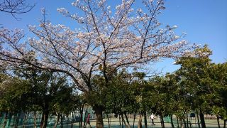 春だからこそ。