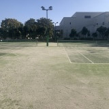 ゆるっと遊びたいが