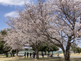 ようこそ新１年生