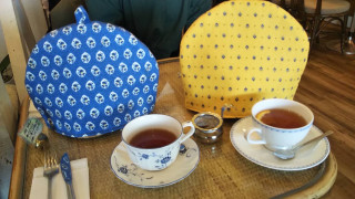 平日組でもディンブラ♪