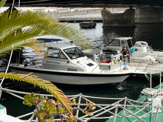 サークル初のお花見クルージング♪