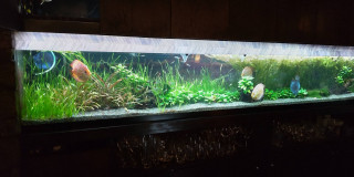 ７周年パーティー☆