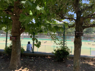 樹名板取付け完了のお知らせ