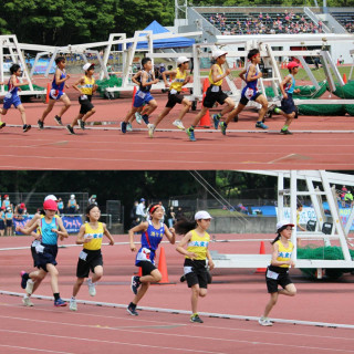 印旛郡市　小学校陸上競技大会