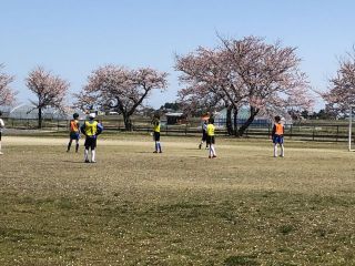 青空と桜とみんな