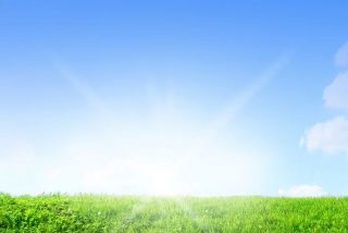 【第11回キャリコンへの道】スタート{emoji index="230"}