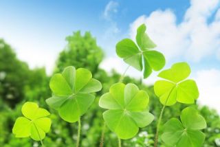 【第11回キャリコンへの道】学科・実技(論述）対策{emoji index="150"}