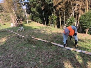 横須賀市津久井竹林整備