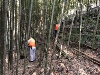 三浦市毘沙門竹林整備