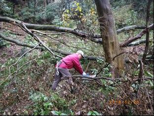 2018/12/23　葉山町木古庭竹林整備