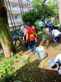 「上北小　石ひろい大作戦！」決行したのだ！