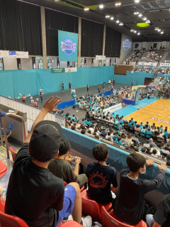 プロリーグ観戦