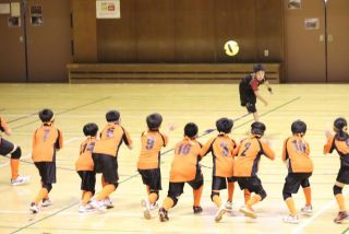 新しい仲間が増えました。