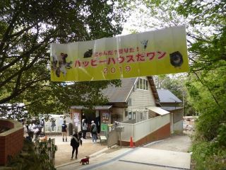 にゃんだ？祭りだ！ハッピーハウスだワン2019