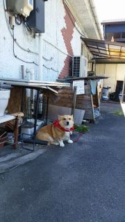 ふらりと一人で。レストランアンディ　➁