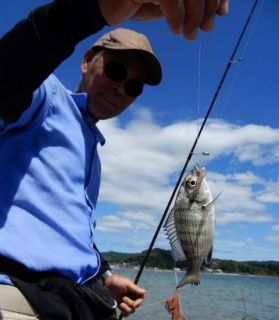 奥浜名湖 へダイ釣り大会