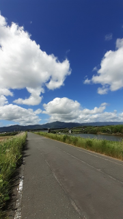 写真でリベンジ　浜名湖オレンジロード