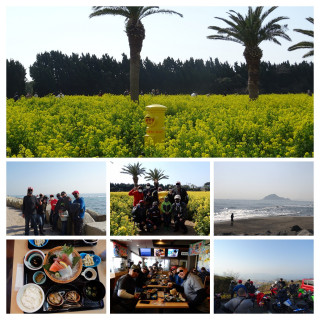 渥美半島　菜の花ツーリング