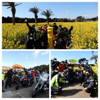 田原市　菜の花ツーリング