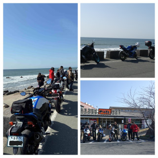 渥美半島　菜の花＆河津桜ツーリング