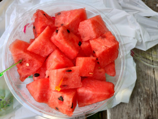国木田独歩「武蔵野」ゆかりの真夏の桜橋でスイカバーを食べる会